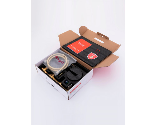 Смеситель Raglo R07.32.03 для ванны и душа встраиваемый излив монолитный 20 см, сатин золотой