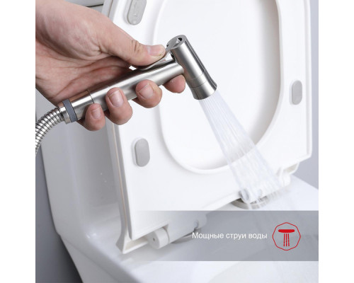 Смеситель Raglo R10.52.05 с гигиеническим душем встраиваемый , сатин