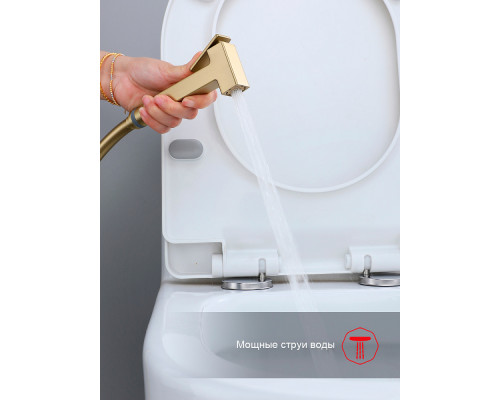 Смеситель Raglo R02.54.03 с гигиеническим душем встраиваемый , сатин золотой