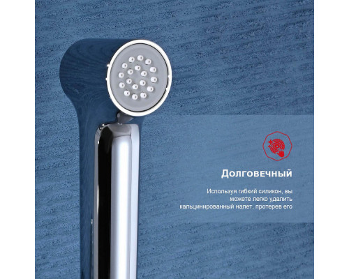 Смеситель Raglo R03.51 с гигиеническим душем настенный , хром