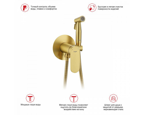 Смеситель Raglo R10.52.03 с гигиеническим душем встраиваемый , сатин золотой