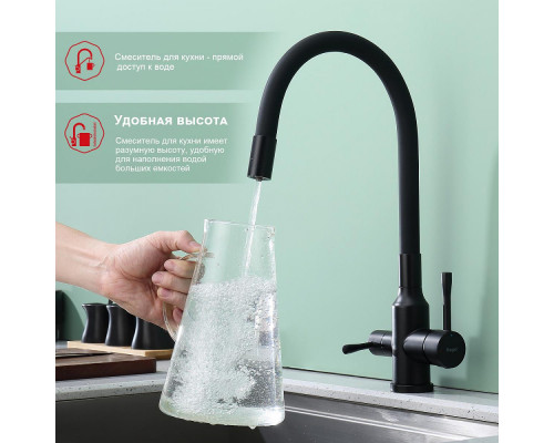 Смеситель Raglo R81.64.06 для кухни с подключением к фильтру излив гибкий поворотный, черный