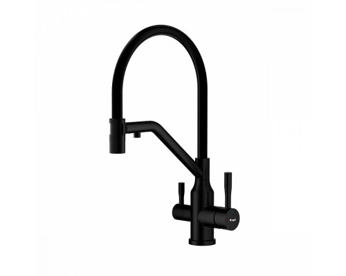 Смеситель Raglo R81.62.06 для кухни с подключением к фильтру съёмный гибкий излив с магнитным фиксатором, черный