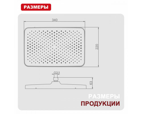 Лейка душевая верхняя Raglo R451.52.09 тропический душ 340*220мм пластик/силикон, графит