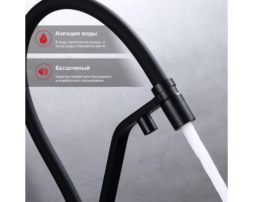 Смеситель Raglo R85.62.06 для кухни с подключением к фильтру съёмный гибкий излив с магнитным фиксатором, черный