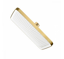 Лейка душевая верхняя Raglo R451.52.03 тропический душ 340*220мм пластик/силикон, Сатин золотой