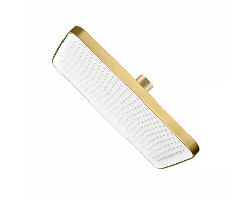 Лейка душевая верхняя Raglo R451.52.03 тропический душ 340*220мм пластик/силикон, Сатин золотой