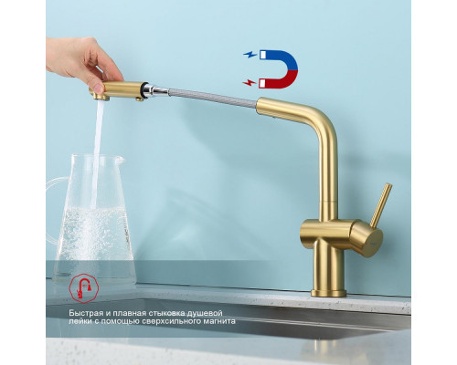 Смеситель Raglo R86.49.03 для кухни с выдвижным изливом, сатин золотой