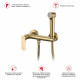 Смеситель Raglo R03.51.03 с гигиеническим душем настенный , сатин золотой