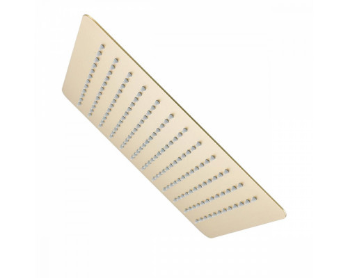 Лейка душевая верхняя Raglo R451.55.03 тропический душ 300*300мм нержавеющая сталь, Сатин золотой