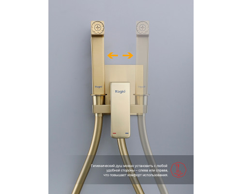 Смеситель Raglo R02.54.03 с гигиеническим душем встраиваемый , сатин золотой