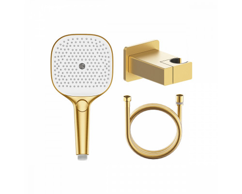 Комплект с лейкой Raglo R476.41.03 для душа душевая лейка 3 режима, шланг 1,5м, держатель лейки латунь, сатин золотой