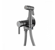 Смеситель Raglo R20.54.06 с гигиеническим душем встраиваемый , графит