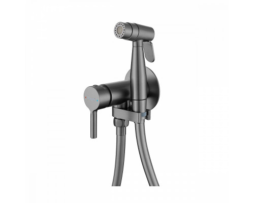 Смеситель Raglo R20.54.06 с гигиеническим душем встраиваемый , графит