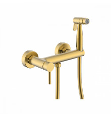 Смеситель Raglo R20.51.03 с гигиеническим душем настенный , сатин золотой