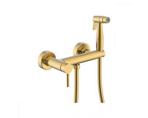 Смеситель Raglo R20.51.03 с гигиеническим душем настенный , сатин золотой