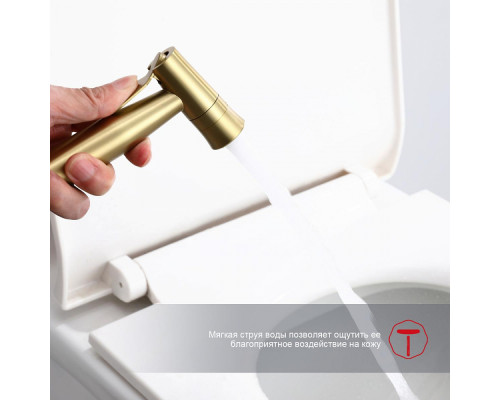 Смеситель Raglo R10.52.03 с гигиеническим душем встраиваемый , сатин золотой