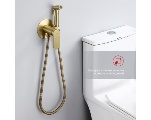 Смеситель Raglo R10.52.03 с гигиеническим душем встраиваемый , сатин золотой