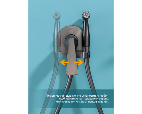 Смеситель Raglo R07.52.09 с гигиеническим душем встраиваемый , графит