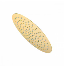 Лейка душевая верхняя Raglo R451.56.03 тропический душ ∅300мм нержавеющая сталь, Сатин золотой