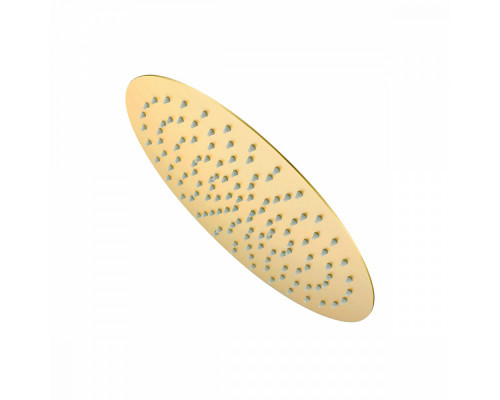 Лейка душевая верхняя Raglo R451.56.03 тропический душ ∅300мм нержавеющая сталь, Сатин золотой