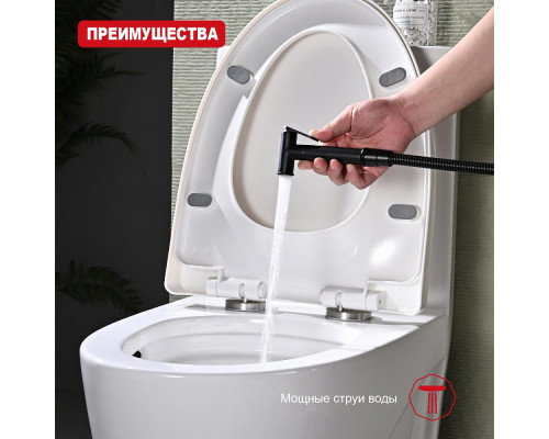 Лейка для гигиенического душа Raglo R460.03.06 латунь, черный