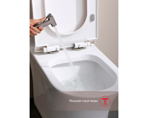 Смеситель Raglo R51.52.09 с гигиеническим душем встраиваемый , графит