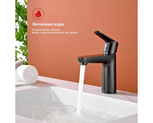 Смеситель Raglo R31.10.09 для раковины монолитный, графит