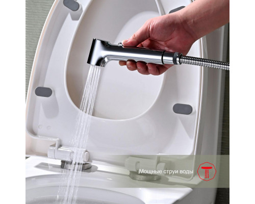 Смеситель Raglo R03.53 с гигиеническим душем встраиваемый , хром