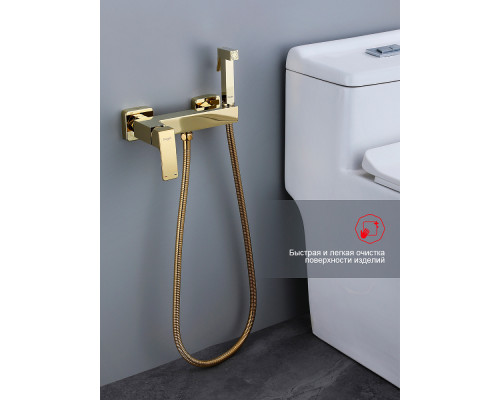 Смеситель Raglo R01.51.23 с гигиеническим душем настенный , золото