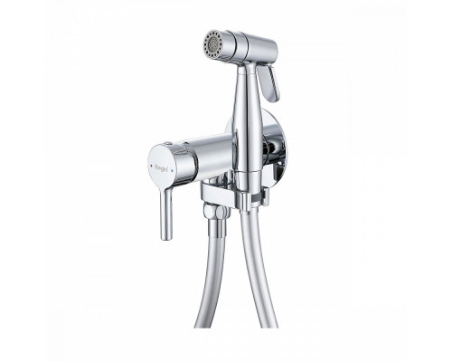 Смеситель Raglo R20.54 с гигиеническим душем встраиваемый , хром