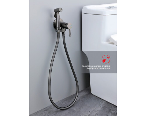 Смеситель Raglo R20.54.06 с гигиеническим душем встраиваемый , графит