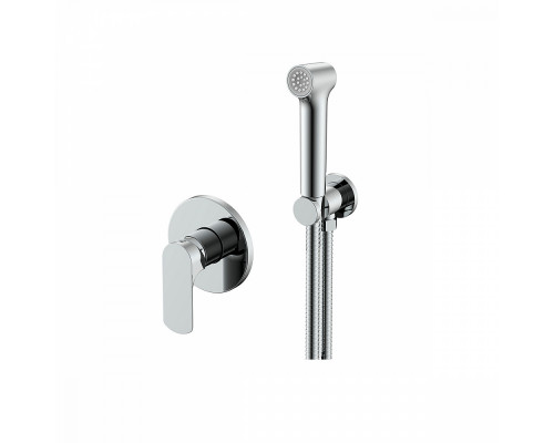 Смеситель Raglo R03.53 с гигиеническим душем встраиваемый , хром