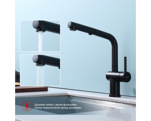 Смеситель Raglo R86.49.06 для кухни с выдвижным изливом, черный