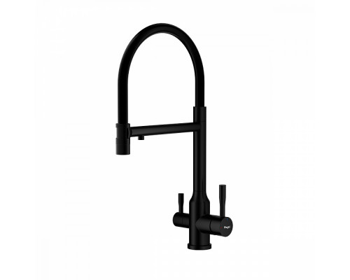 Смеситель Raglo R81.63.06 для кухни с подключением к фильтру съёмный гибкий излив с магнитным фиксатором, черный