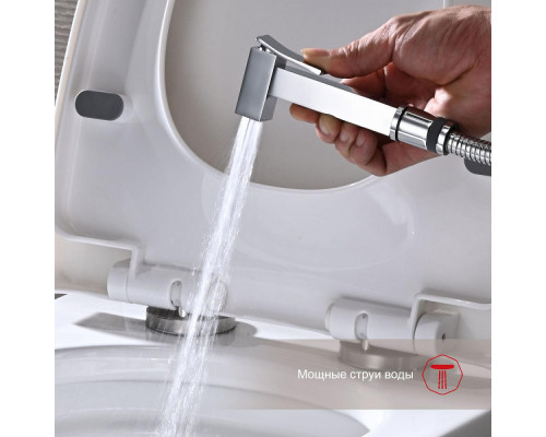 Смеситель Raglo R01.52 с гигиеническим душем встраиваемый , хром