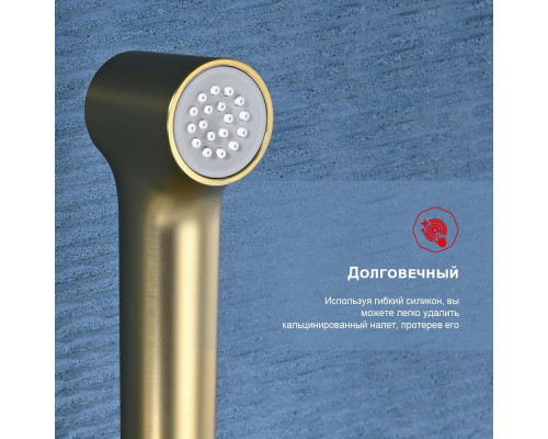 Смеситель Raglo R03.51.03 с гигиеническим душем настенный , сатин золотой