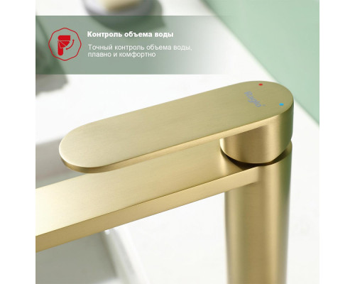 Смеситель Raglo R10.10.03 для раковины монолитный, сатин золотой
