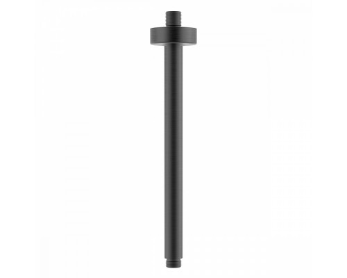 Держатель для лейки Raglo R470.32.09 верхнего душа потолочный нержавеющая сталь, графит