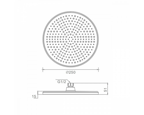 Лейка душевая верхняя Raglo R451.50.03 тропический душ ∅250мм пластик/силикон, Сатин золотой
