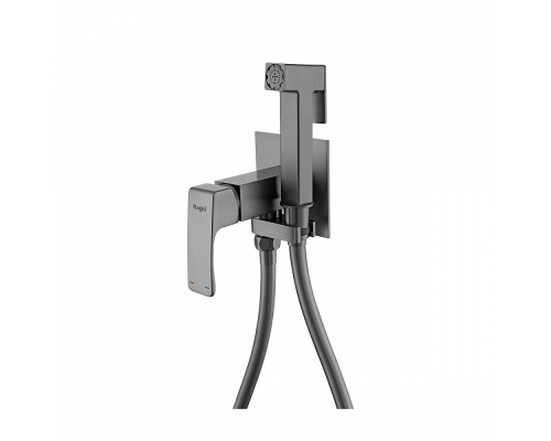 Смеситель Raglo R02.54.09 с гигиеническим душем встраиваемый , графит