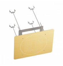 Лейка верхняя потолочная Raglo R452.03.03 для душа 590*480мм 2 режима прямоугольная нержавеющая сталь, сатин золотой