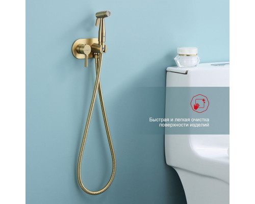 Смеситель Raglo R20.52.03 с гигиеническим душем встраиваемый , сатин золотой