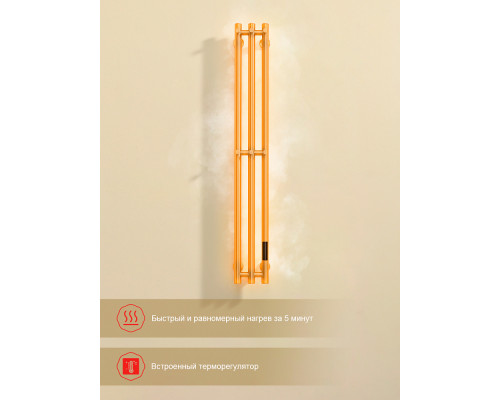 Полотенцесушитель электрический RAGLO R350.16.03 настенный сенсорный узкий с терморегулятором , сатин золотой