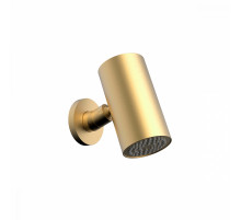 Лейка верхняя Raglo R452.07.03 для душа ∅80мм 1 режим круглая нержавеющая сталь, сатин золотой