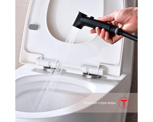 Смеситель Raglo R03.52.06 с гигиеническим душем встраиваемый , черный