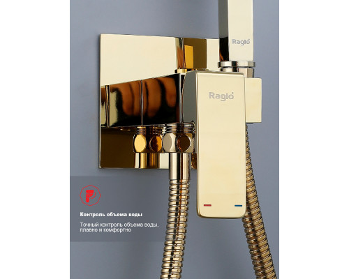 Смеситель Raglo R01.52.23 с гигиеническим душем встраиваемый , золото