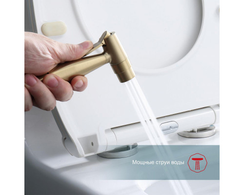 Смеситель Raglo R20.52.03 с гигиеническим душем встраиваемый , сатин золотой