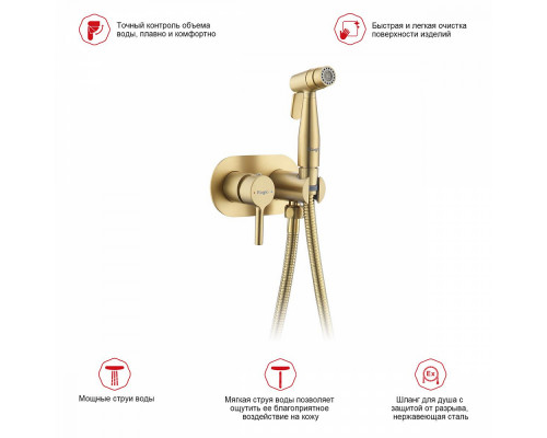 Смеситель Raglo R20.52.03 с гигиеническим душем встраиваемый , сатин золотой