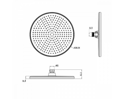 Лейка душевая верхняя Raglo R451.50.06 тропический душ ∅250мм пластик/силикон, черный